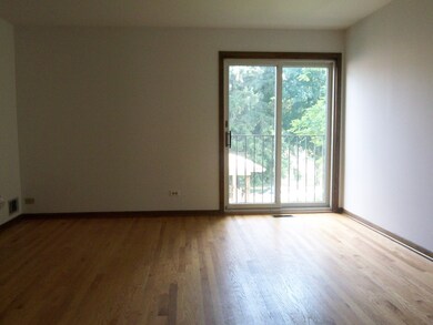 479 N Addison Ave unit B1, Elmhurst, IL 60126 - photo 6