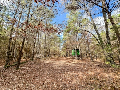 County Road 2235, Bagwell, TX 75412 - photo 6