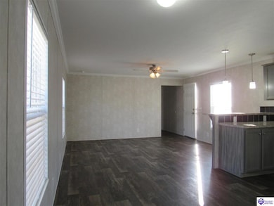 71 Rail Fence Loop, Elizabethtown, KY 42701 - photo 2