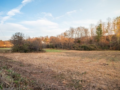 06 Concord Church Rd unit 6, Pickens, SC 29671 - photo 4