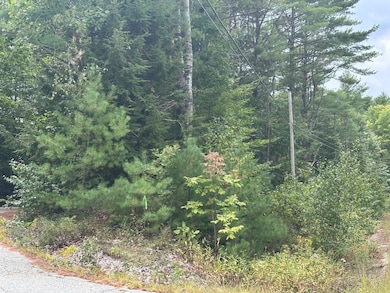 40, 39-1 Gebung Rd, Lyman, ME 04002 - photo 6