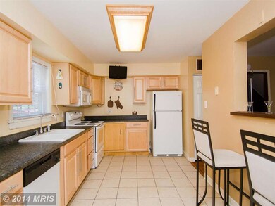 1131 Willinger Ct, Baltimore, MD 21202 - photo 7