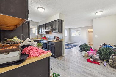 310 Lawson Ave E, Saint Paul, MN 55130 - photo 7