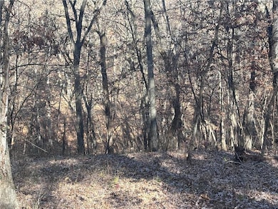 51500 River Rd, Milan, MO 63556 - photo 5