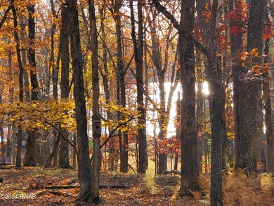 136 Fawn Lake Dr, Hawley, PA 18428 - photo 4