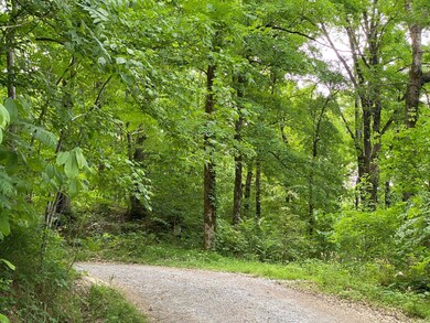 397 New Herman Rd, Shelbyville, TN 37160 - photo 4