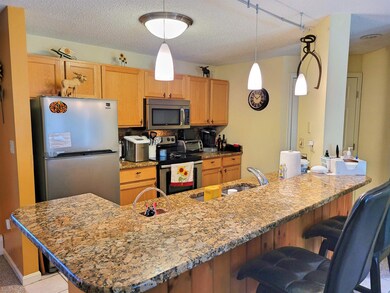 79 Riverfront Dr unit 194, Woodstock, NH 03262 - photo 5