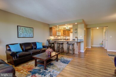 5901 Mount Eagle Dr unit 717, Alexandria, VA 22303 - photo 6