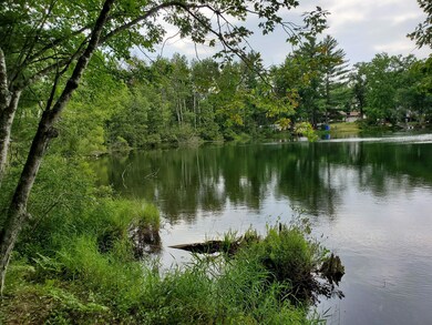 0 68th St unit 23031030, Idlewild, MI 49642 - photo 2