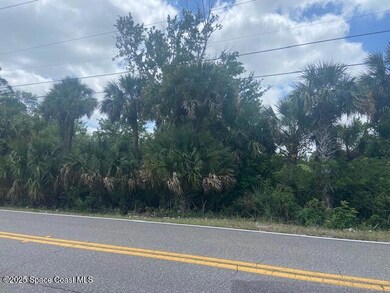 Tbd Canaveral Groves Blvd, Cocoa, FL 32926 - photo 5