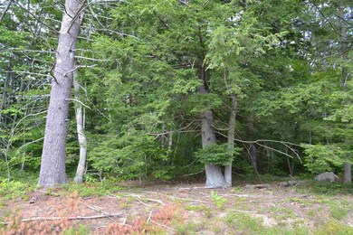 0 Davis Hill Rd, Conway, NH 03813 - photo 6