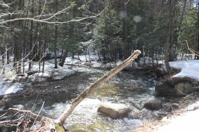 203 Gilman Valley Rd, Tamworth, NH 03886 - photo 5