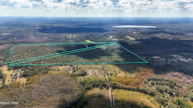 0 Douglas Ferry Rd unit 781383, Esto, FL 32425 - photo 3