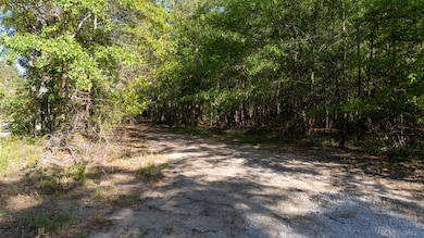 2-web-or-mls-DJI_20250505172256_0188_D