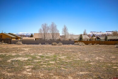 2155 Tucker Ln, Cortez, CO 81321 - photo 4