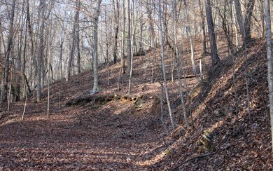 Additional View