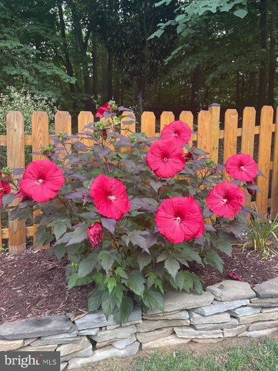 5604 Eppes Island Place, Manassas, VA 20112 - photo 2