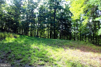 LOT 135 River Bend Dr, Paw Paw, WV 25434 - photo 4