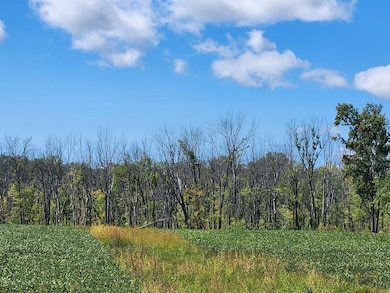 0 Irish Rd, New Holstein, WI 53061 - photo 4