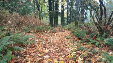 78 SW 44th Ave W, Mukilteo, WA 98275 - photo 5