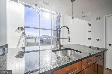 The Spectrum unit 619, Falls Church, VA 22046 - photo 5