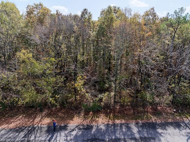 0 Canal St, Ringgold, LA 71068 - photo 2