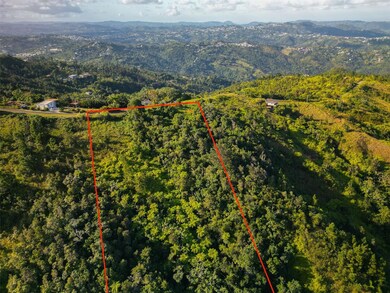 Bo Beatriz Fincas Mi Recreo 3 Carr 1, Caguas, PR 00725 - photo 7