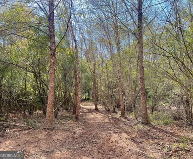 0 Buffalo Creek Rd unit 10624169, Carrollton, GA 30117 - photo 5