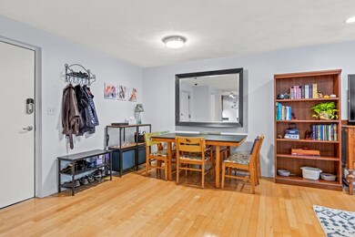 115 Highland Ave unit 18, Somerville, MA 02143 - photo 5