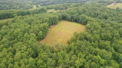 Feeding Plot(Area 7)