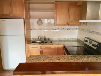 12 Commonwealth Ct unit 14, Brighton, MA 02135 - photo 4