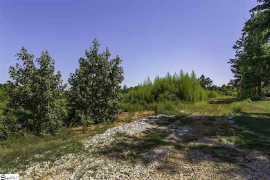 0 Roddy Rd, Woodruff, SC 29388 - photo 4