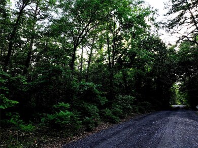 0 Pilotfish Rd, Broken Bow, OK 74728 - photo 3