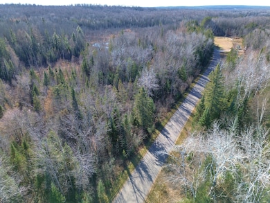 0 Forest Hill Dr unit 25694657, Townsend, WI 54175 - photo 4