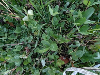 0 Township Road 80, Warsaw, OH 43844 - photo 5