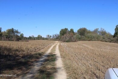 IMG_2577