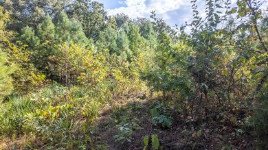 Tbd S 12 St & Goldsmith Ave, Mammoth Spring, AR 72554 - photo 7