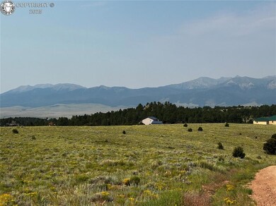 344 Cherokee Trail, Westcliffe, CO 81252 - photo 5
