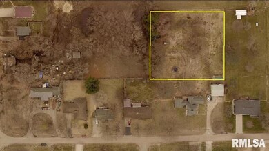 510 W Walnut St, Mason City, IL 62664 - photo 7