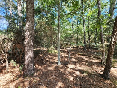 LOT 108 Sundew Ct, Magnolia, TX 77355 - photo 5
