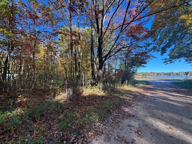 V L 1 47a North Tallman Lake Rd, Fountain, MI 49410 - photo 4