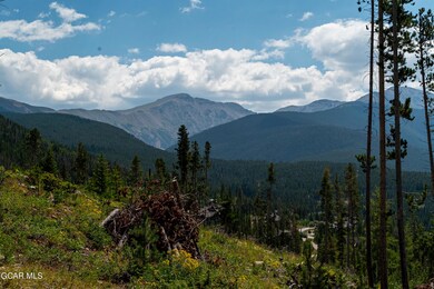 54 Cub Creek Way Lot 3, Winter Park, CO 80482 - photo 5