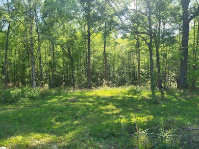 3151 N Highway 14, Greer, SC 29651 - photo 2