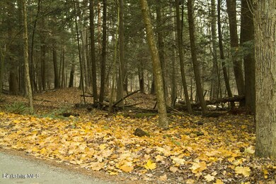 unlisted-address, Egremont, MA 01230 - photo 3