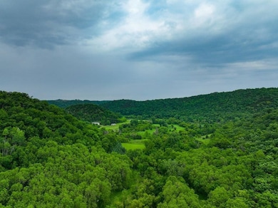 Rooster Valley Rd, Spring Grove, MN 55974 - photo 3