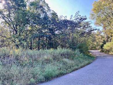 0 Cemetery Rd, Michie, TN 38357 - photo 2