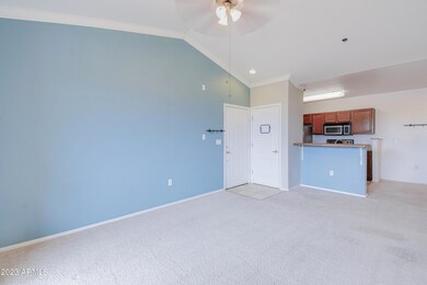 Lots of Natural Light!