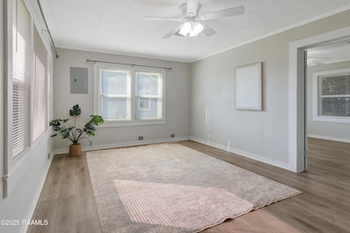 1810 Chatsworth Rd, Franklin, LA 70538 - photo 5