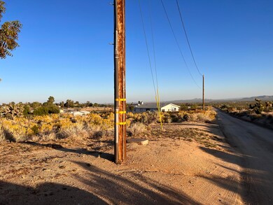 0 136th St E & Ave W11 unit 25002633, Pearblossom, CA 93553 - photo 6