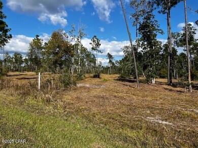 00 Jarrott Daniels Rd, Wewahitchka, FL 32465 - photo 4